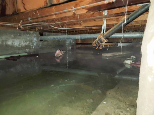  Tyrone, OK Water damage restoration Pros