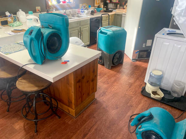 Best Basement water damage restoration  in Tyrone, OK