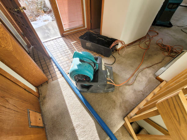 Professional Water damage restoration in Tyrone, OK